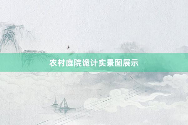 农村庭院诡计实景图展示